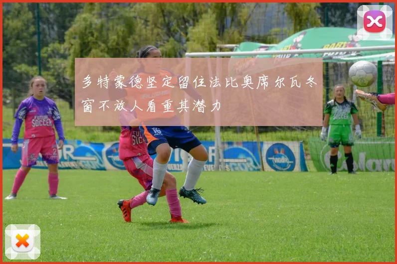 多特蒙德坚定留住法比奥席尔瓦冬窗不放人看重其潜力