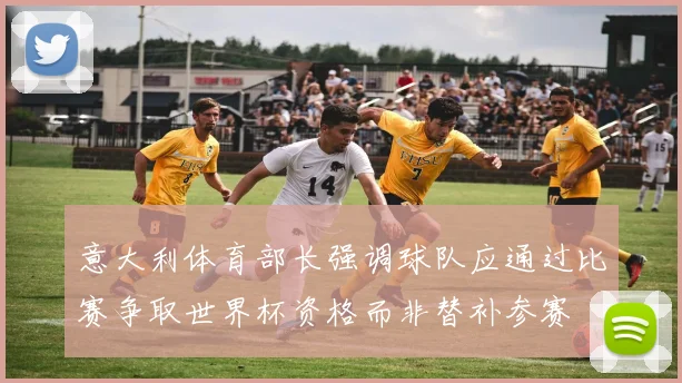 意大利体育部长强调球队应通过比赛争取世界杯资格而非替补参赛