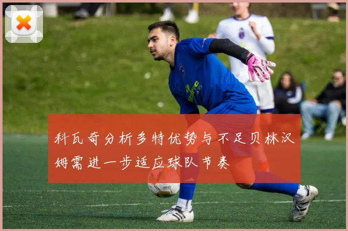 科瓦奇分析多特优势与不足贝林汉姆需进一步适应球队节奏